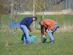 Baumpflegeaktion  2010 17